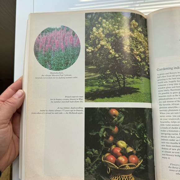 Vintage Chatelaine’s Gardening Book Hardcover 1970 - Picture 7 of 8